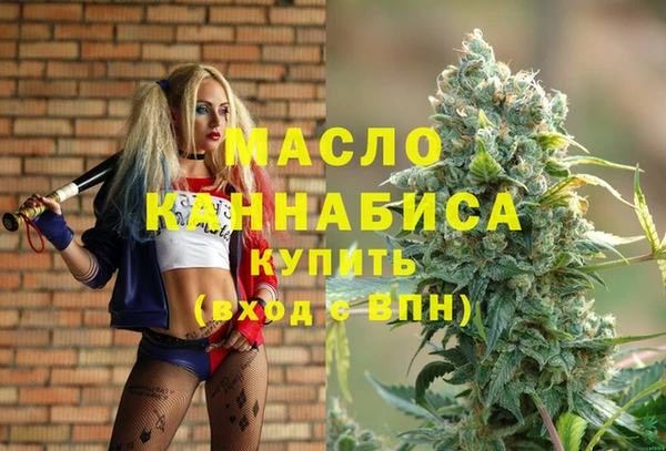 амф Гусь-Хрустальный