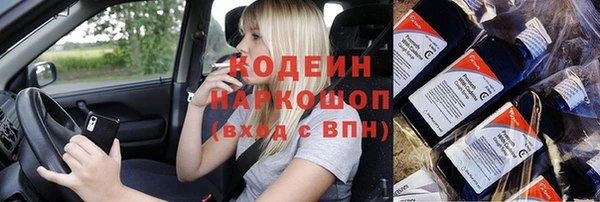 амф Гусь-Хрустальный