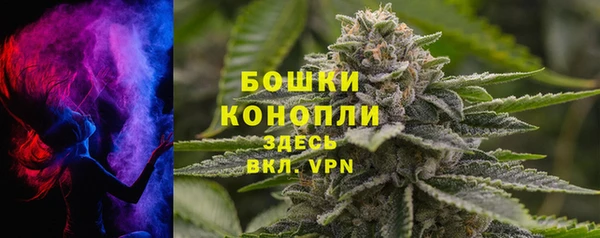 амф Гусь-Хрустальный