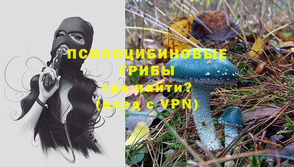 синтетический гашиш Гусиноозёрск