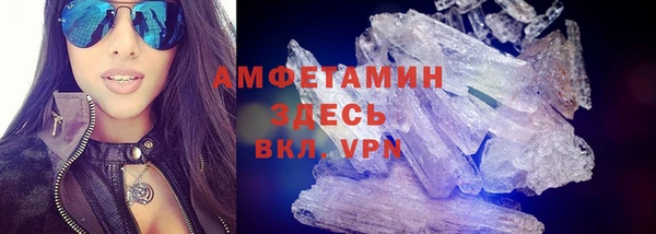 амф Гусь-Хрустальный